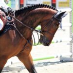 Vereinsausflug German Masters Stuttgart